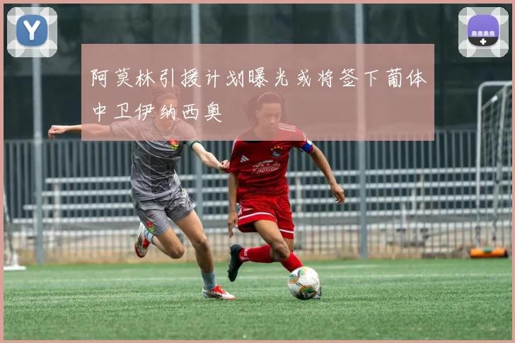 阿莫林引援计划曝光或将签下葡体中卫伊纳西奥