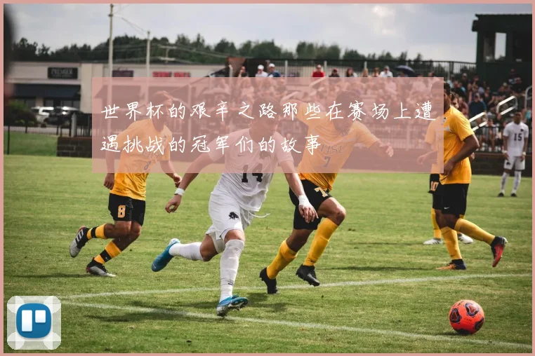 世界杯的艰辛之路那些在赛场上遭遇挑战的冠军们的故事