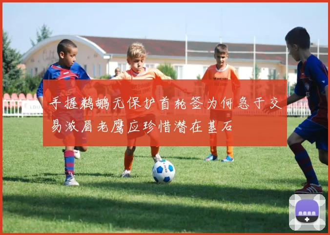 手握鹈鹕无保护首轮签为何急于交易浓眉老鹰应珍惜潜在基石