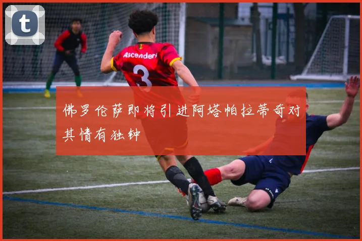 佛罗伦萨即将引进阿塔帕拉蒂奇对其情有独钟