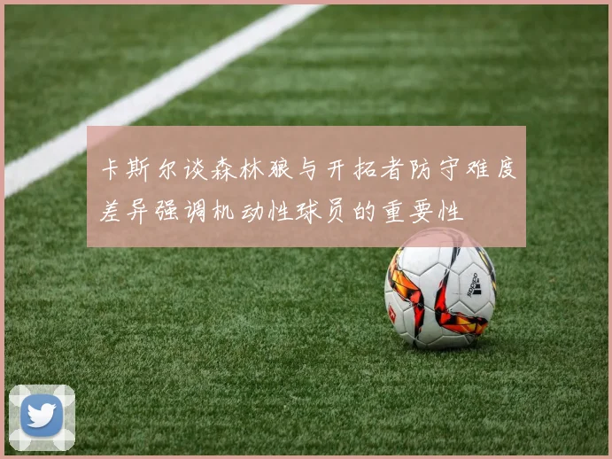 卡斯尔谈森林狼与开拓者防守难度差异强调机动性球员的重要性